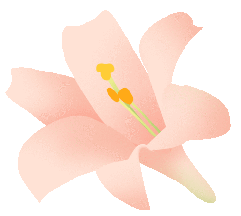 【动态】春日有约 遇见“莓”好—— 安徽HB火博女神节采摘活动